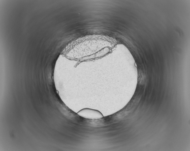 X0000110910670200907301543