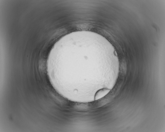 X0000110910671200907301543