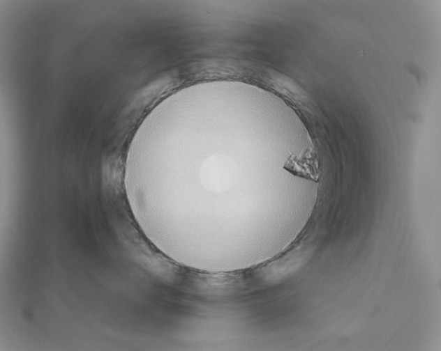 X0000110910672200907301543