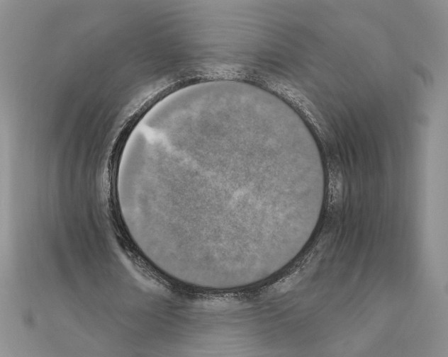 X0000110910674200907301542