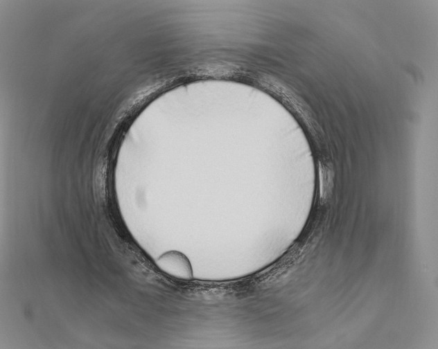 X0000110910675200907301542