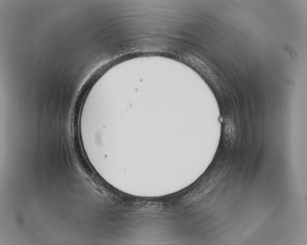 X0000110910676200907301542