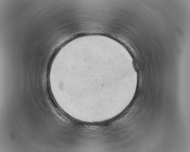 X0000110910677200907301542