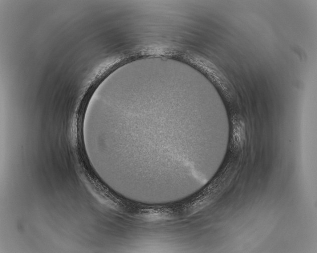 X0000110910678200907301542