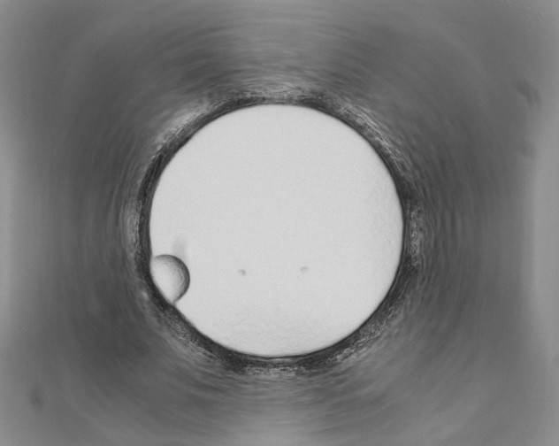 X0000110910679200907301542