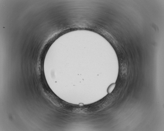 X0000110910680200907301542