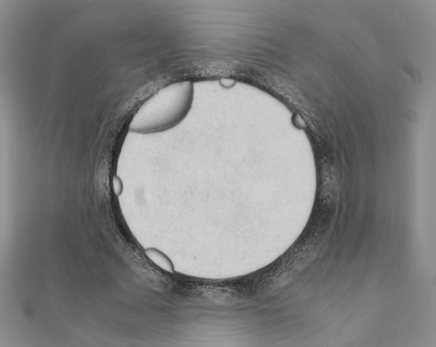 X0000110910681200907301542