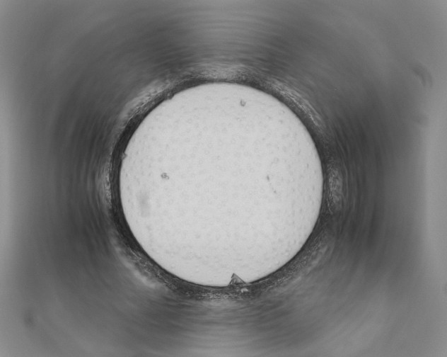 X0000110910682200907301542