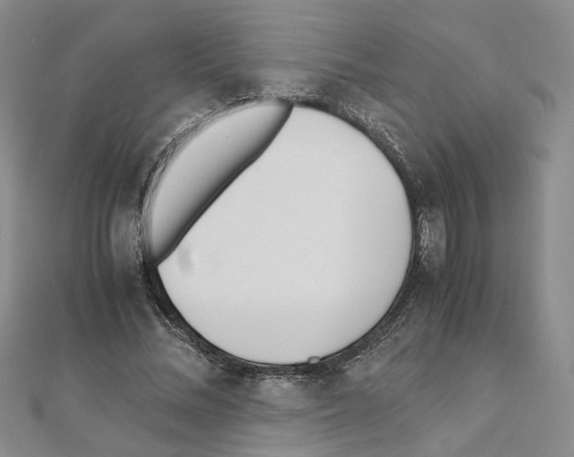 X0000110910684200907301542