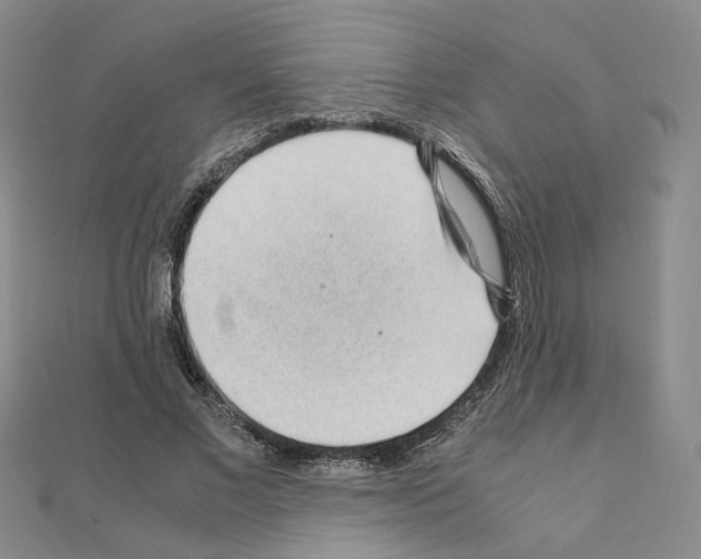 X0000110910685200907301542