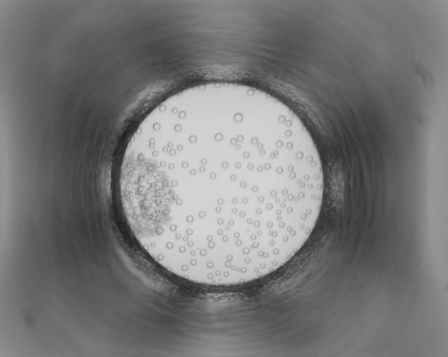 X0000110910686200907301542