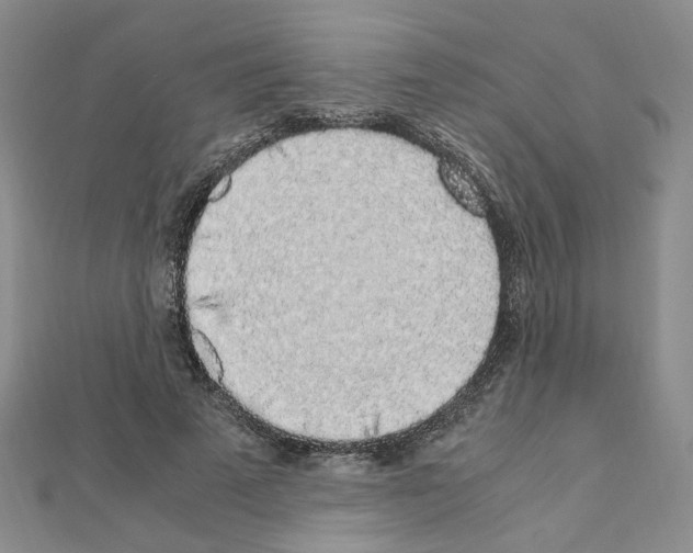 X0000110910689200907301542