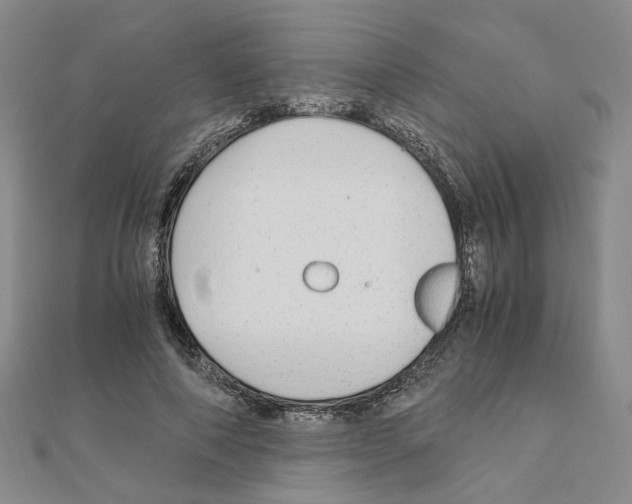 X0000110910690200907301542