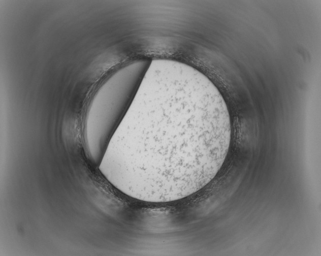 X0000110910692200907301542