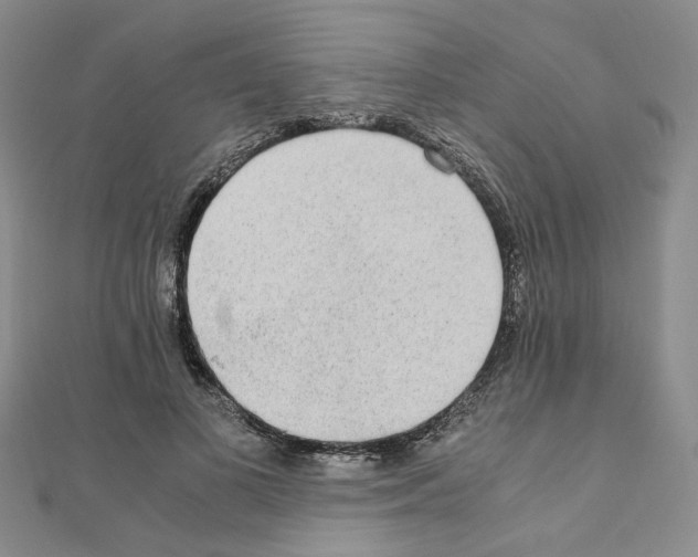 X0000110910693200907301542