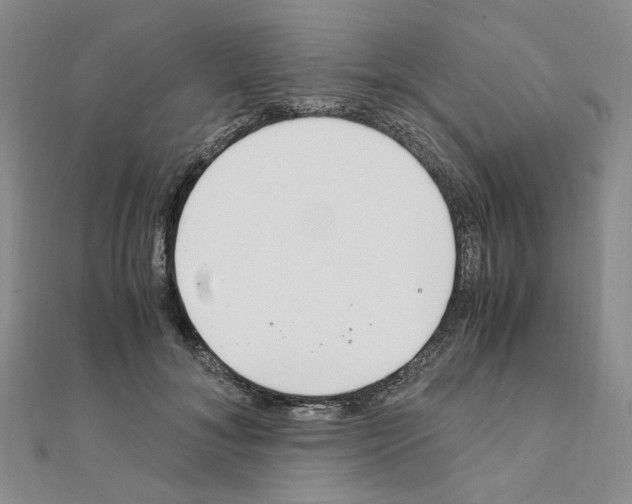 X0000110910700200907301542