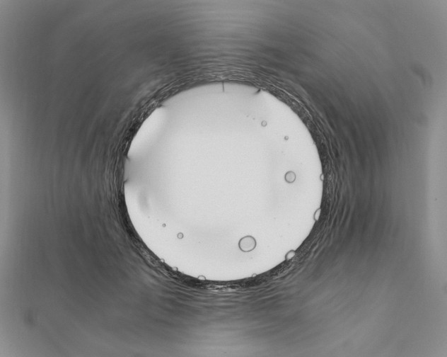 X0000110910701200907301542