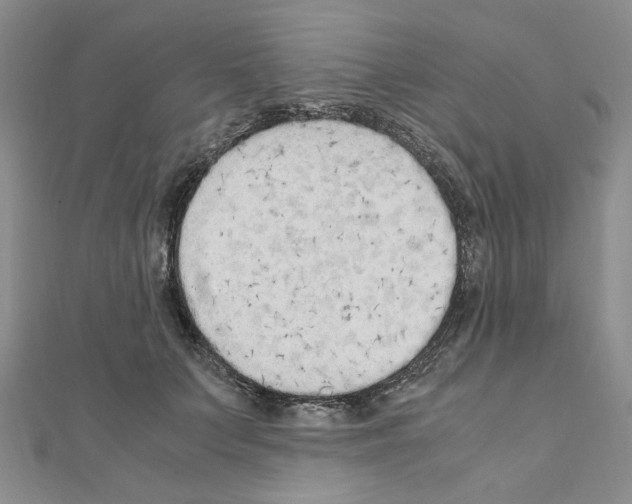 X0000110910703200907301542