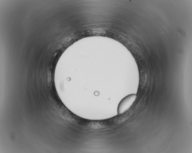 X0000110910704200907301541