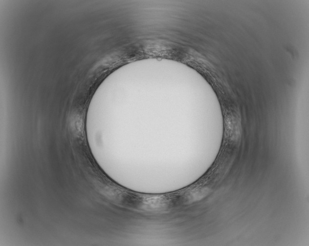 X0000110910705200907301541