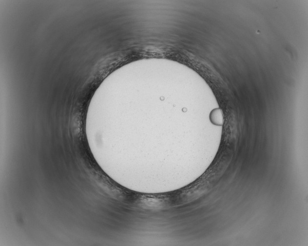 X0000110910706200907301541