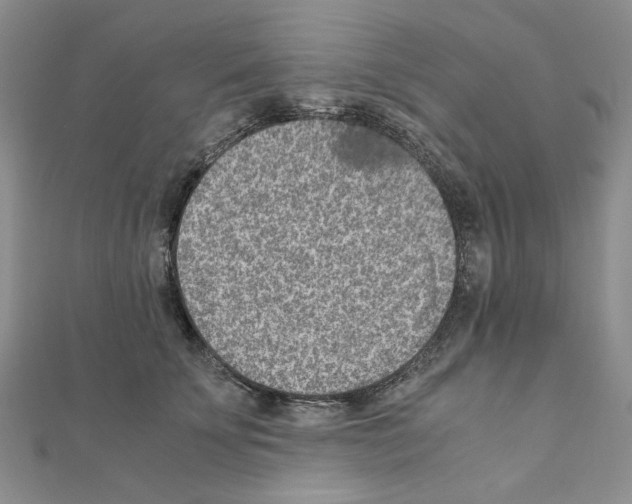 X0000110910707200907301541