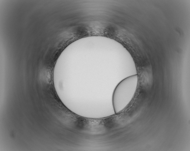 X0000110910709200907301541