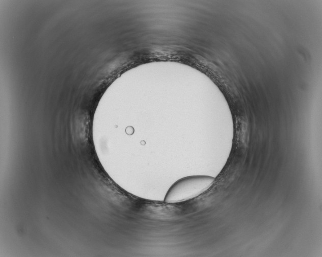 X0000110910712200907301541