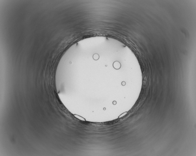 X0000110910713200907301541