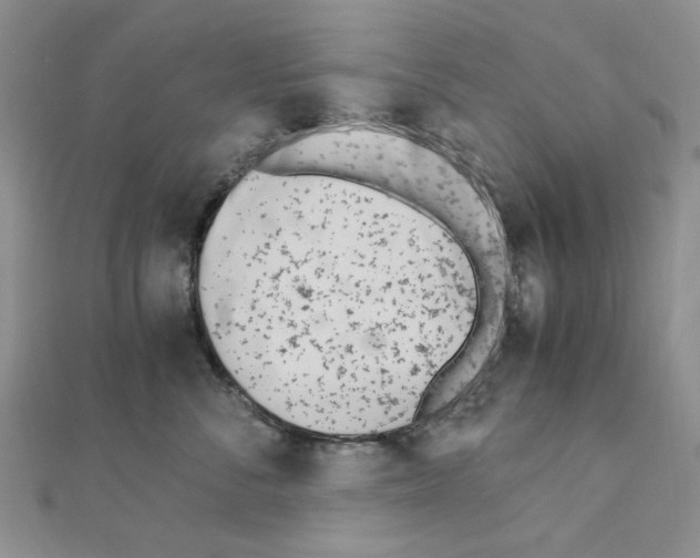 X0000110910716200907301541