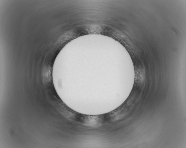 X0000110910717200907301541