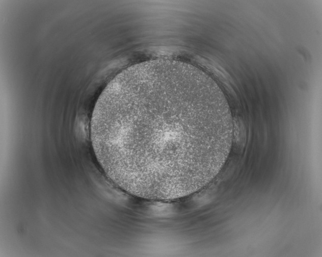 X0000110910718200907301541