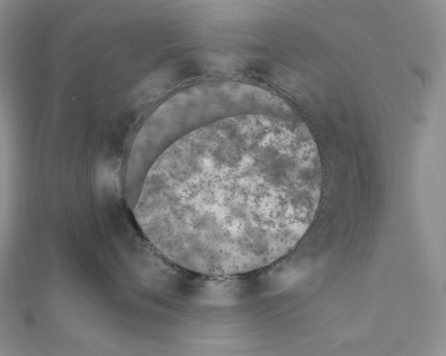 X0000110910720200907301541