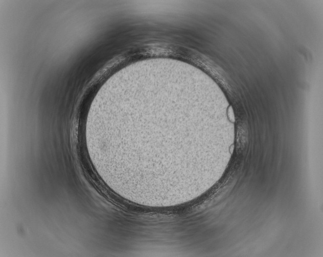 X0000110910722200907301541