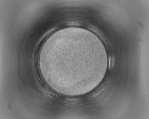 X0000110910723200907301541