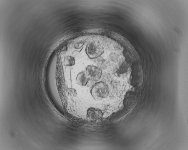 X0000110910725200907301541