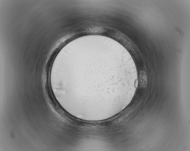 X0000110910726200907301541