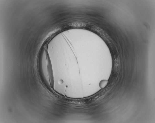 X0000110910727200907301541