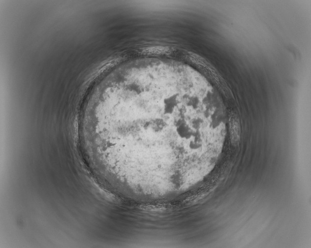 X0000110910729200907301541