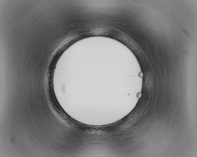 X0000110910730200907301541