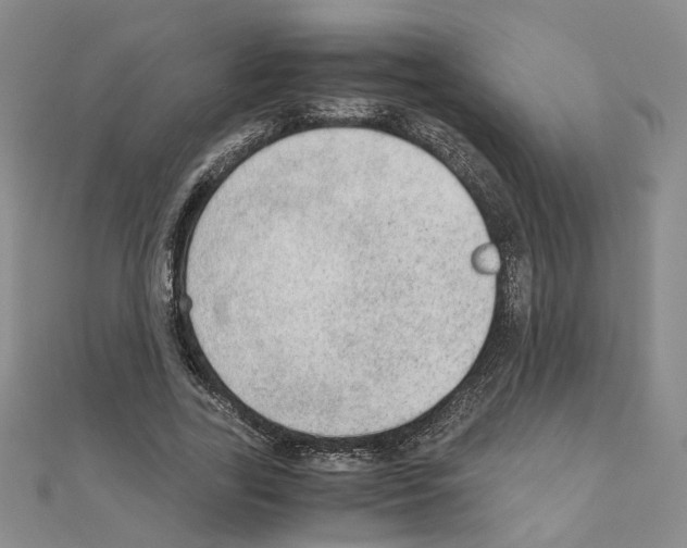 X0000110910731200907301541