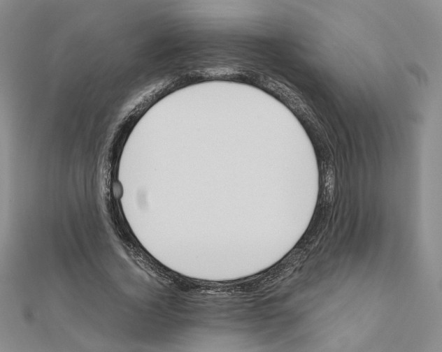 X0000110910732200907301541