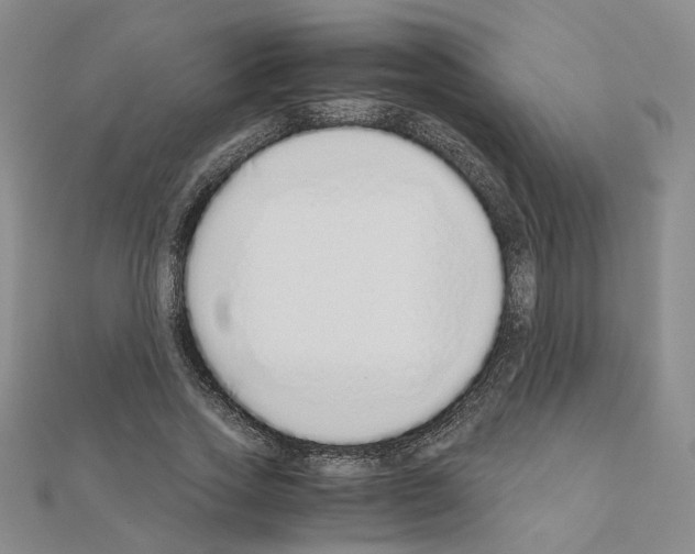 X0000110910733200907301541