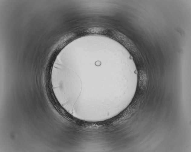 X0000110910734200907301541