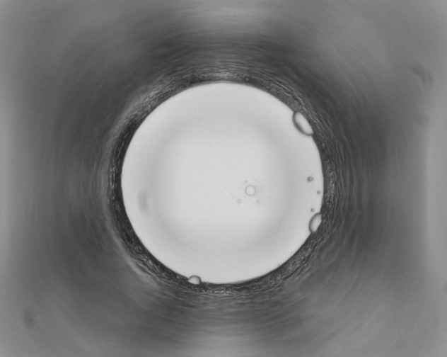 X0000110910736200907301541