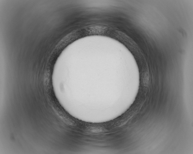 X0000110910737200907301541