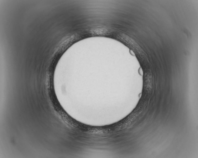 X0000110910738200907301541