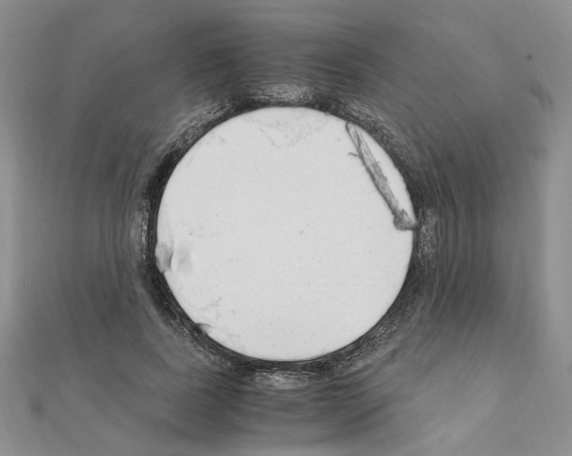 X0000110910739200907301541