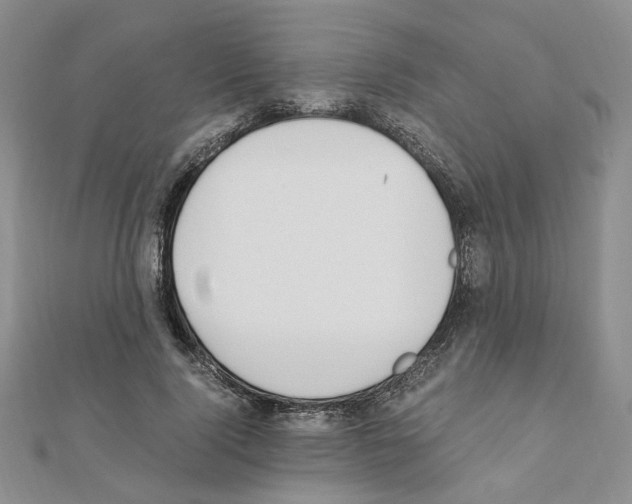 X0000110910740200907301541