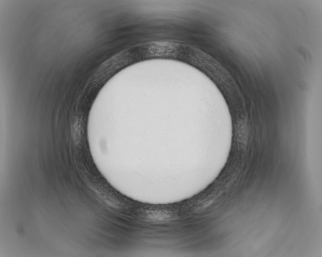 X0000110910741200907301541